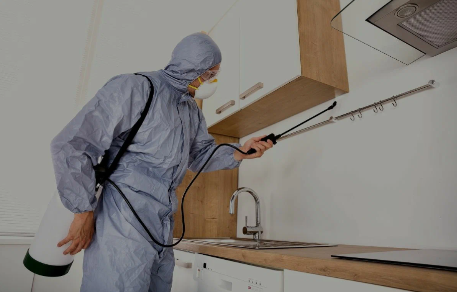 Fair Oaks pest managment